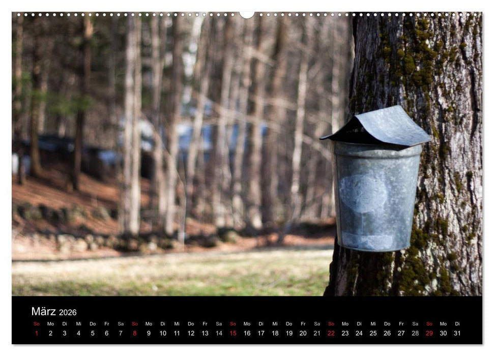 Neu England (CALVENDO Premium Wandkalender 2026)