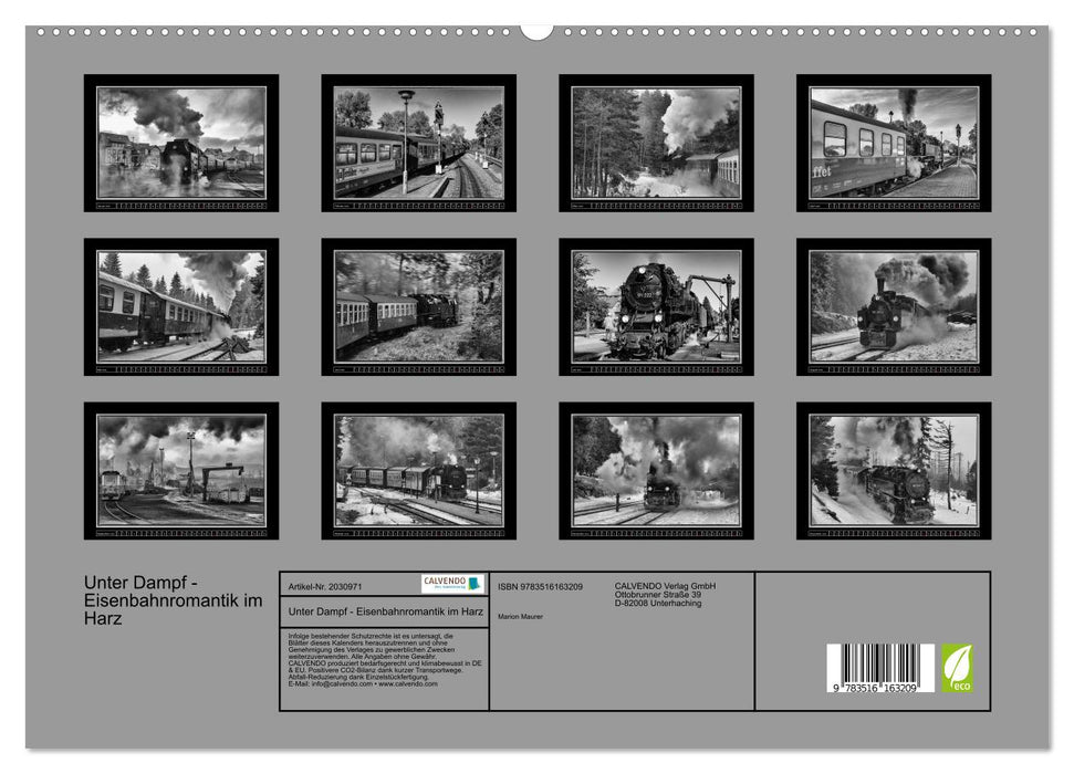Unter Dampf - Eisenbahnromantik im Harz (CALVENDO Premium Wandkalender 2026)