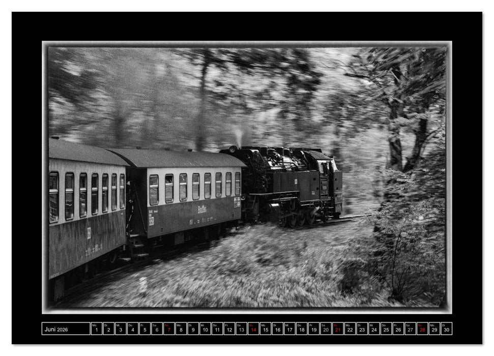 Unter Dampf - Eisenbahnromantik im Harz (CALVENDO Premium Wandkalender 2026)