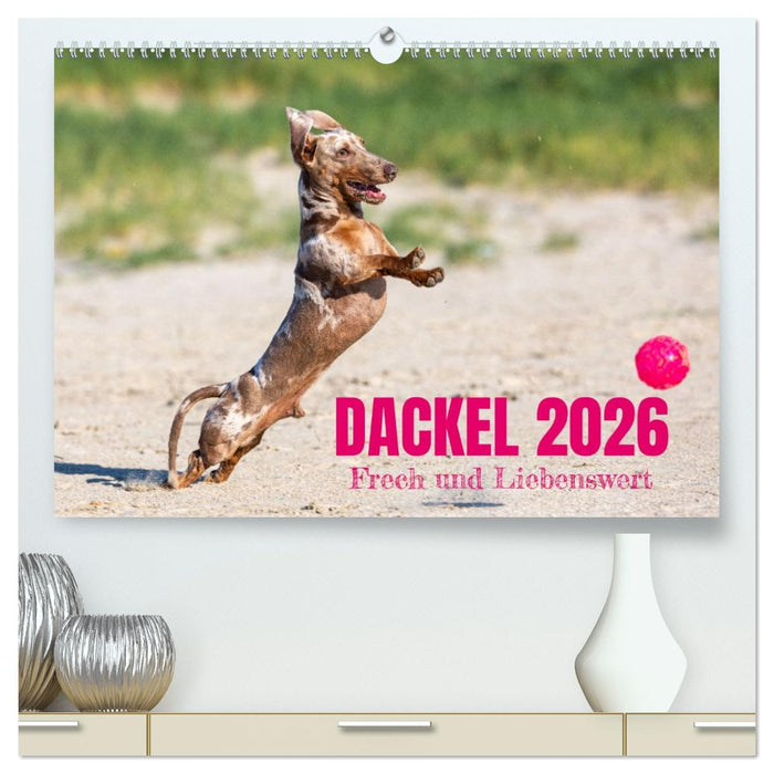 DACKEL 2026 Frech und Liebenwert (CALVENDO Premium Wandkalender 2026)