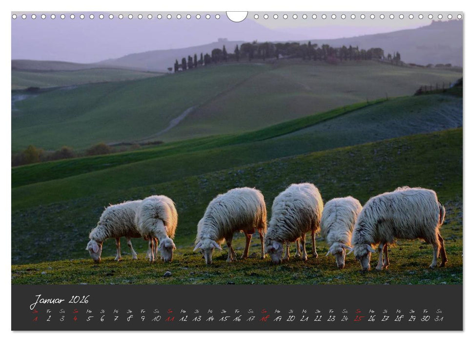 Licht der Toscana (CALVENDO Wandkalender 2026)