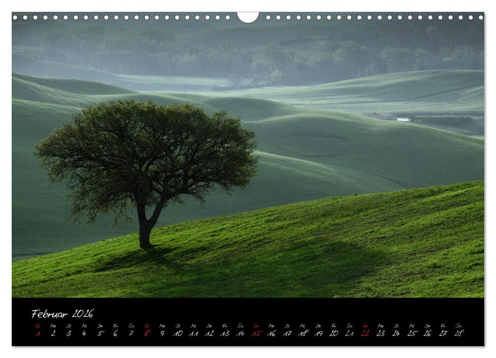 Licht der Toscana (CALVENDO Wandkalender 2026)