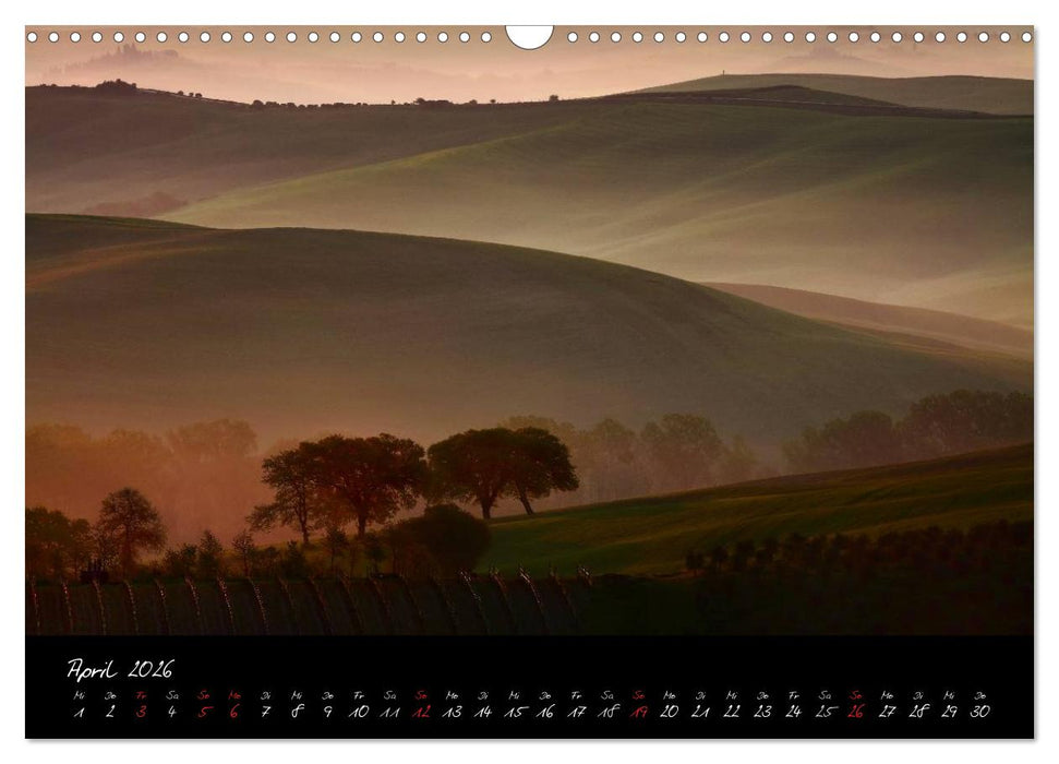 Licht der Toscana (CALVENDO Wandkalender 2026)