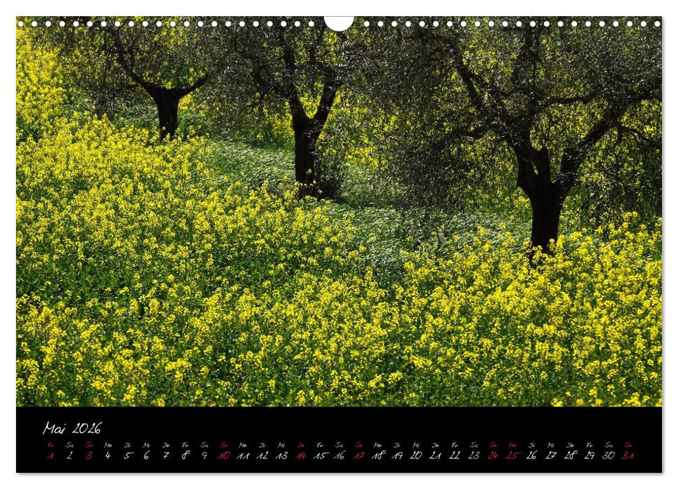 Licht der Toscana (CALVENDO Wandkalender 2026)