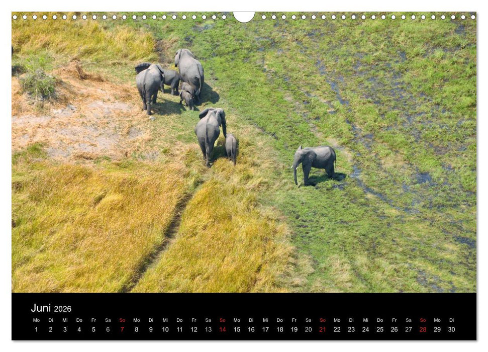 Afrika (CALVENDO Wandkalender 2026)