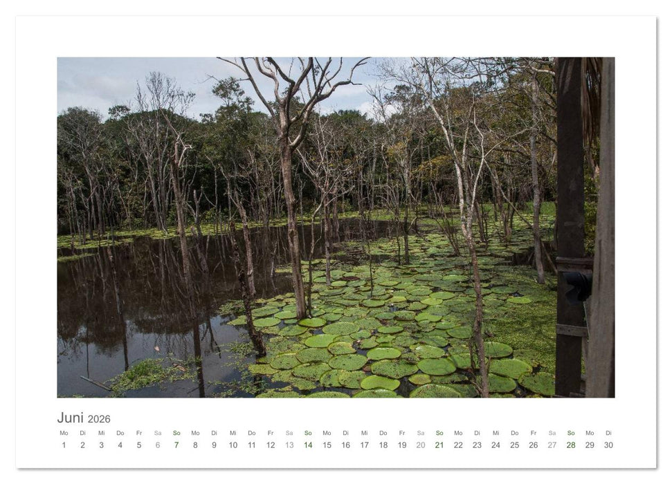 Amazonas, eine Reise entlang seiner Ufer (CALVENDO Premium Wandkalender 2026)
