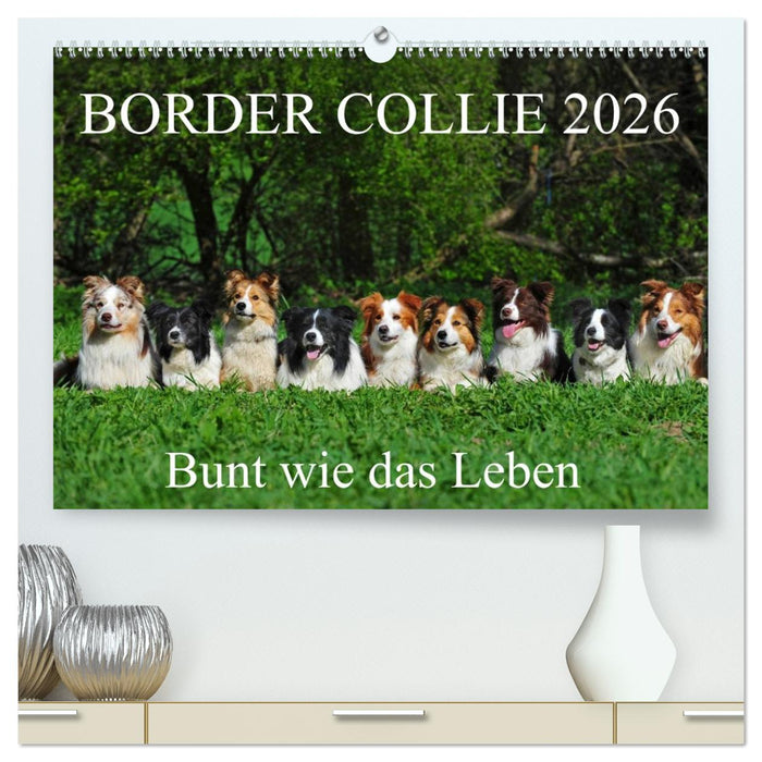 Border Collie 2026 (CALVENDO Premium Wandkalender 2026)