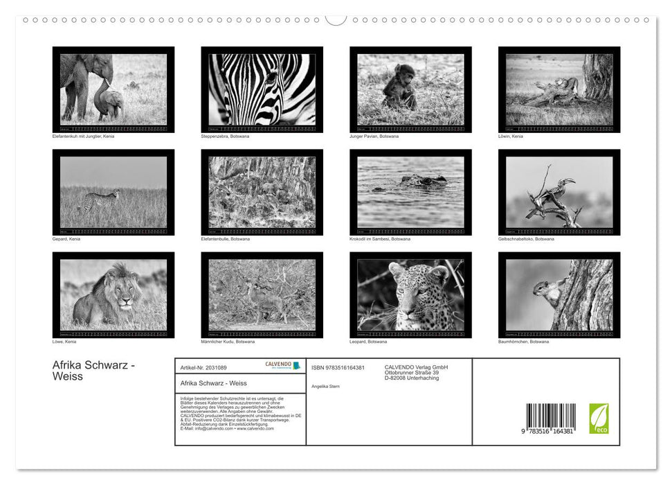 Afrika Schwarz - Weiss (CALVENDO Premium Wandkalender 2026)