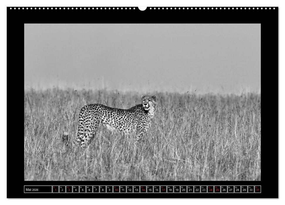 Afrika Schwarz - Weiss (CALVENDO Premium Wandkalender 2026)