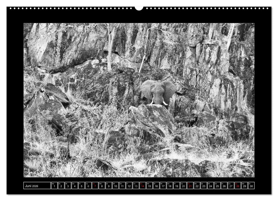 Afrika Schwarz - Weiss (CALVENDO Premium Wandkalender 2026)