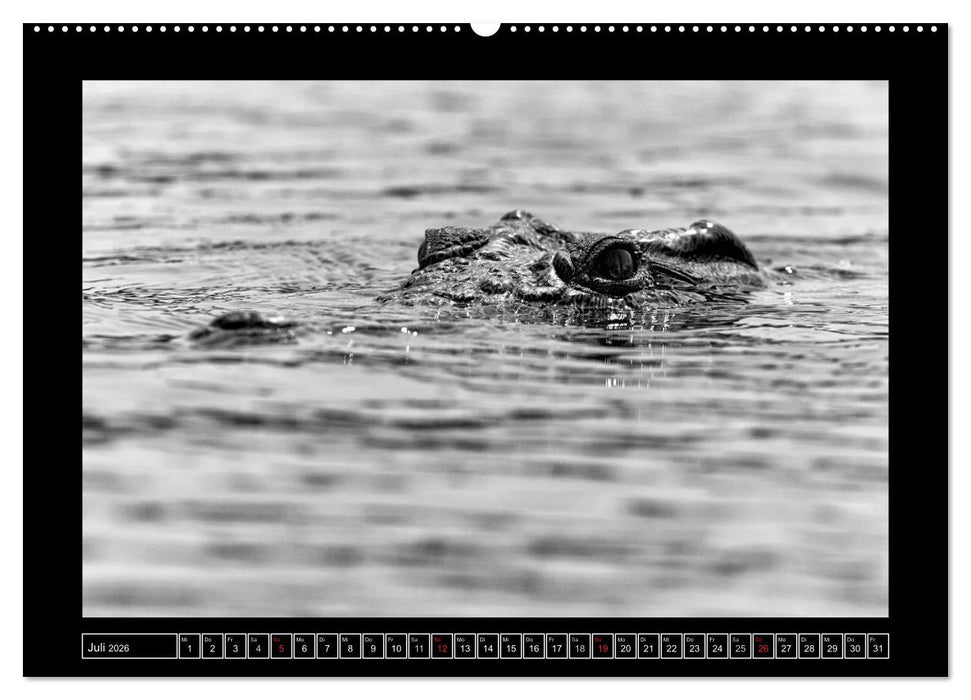 Afrika Schwarz - Weiss (CALVENDO Premium Wandkalender 2026)