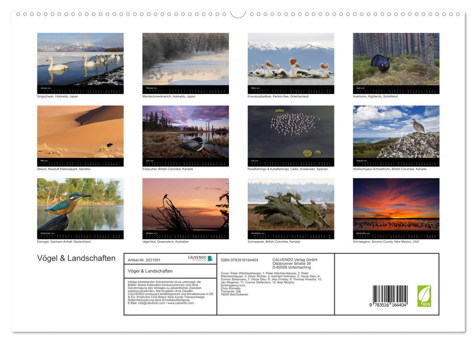 Vögel & Landschaften (CALVENDO Premium Wandkalender 2026)