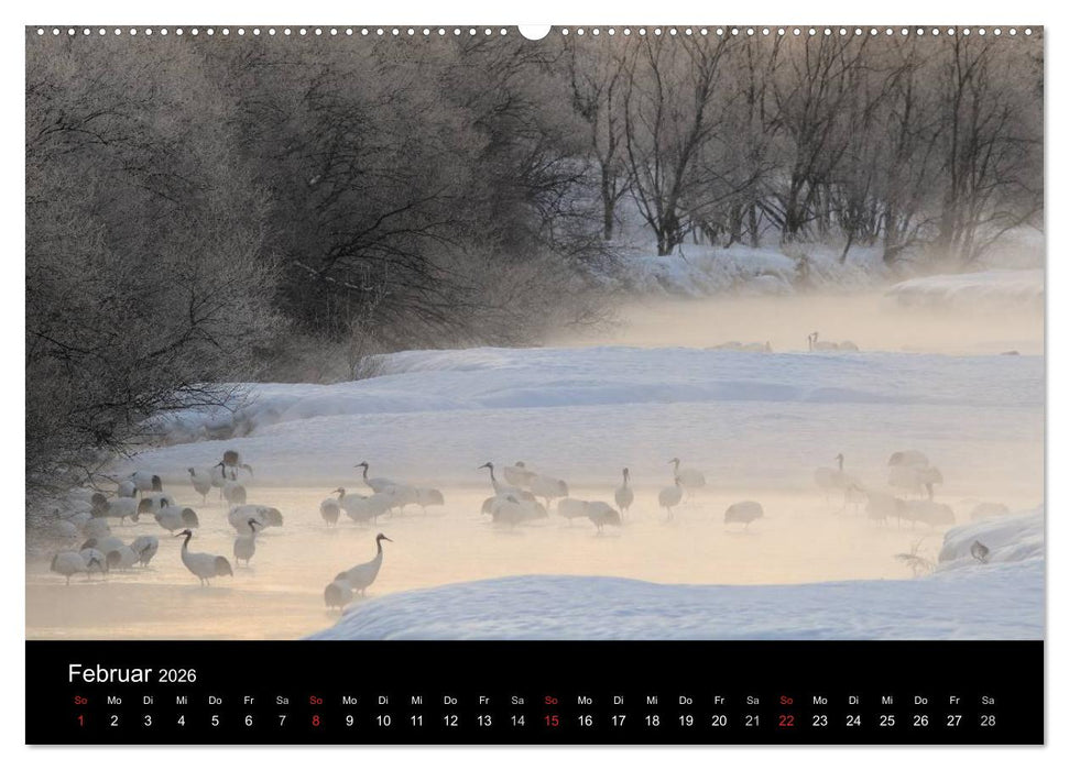 Vögel & Landschaften (CALVENDO Premium Wandkalender 2026)