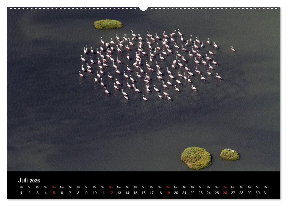 Vögel & Landschaften (CALVENDO Premium Wandkalender 2026)