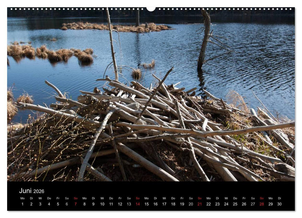 Neu England (CALVENDO Wandkalender 2026)