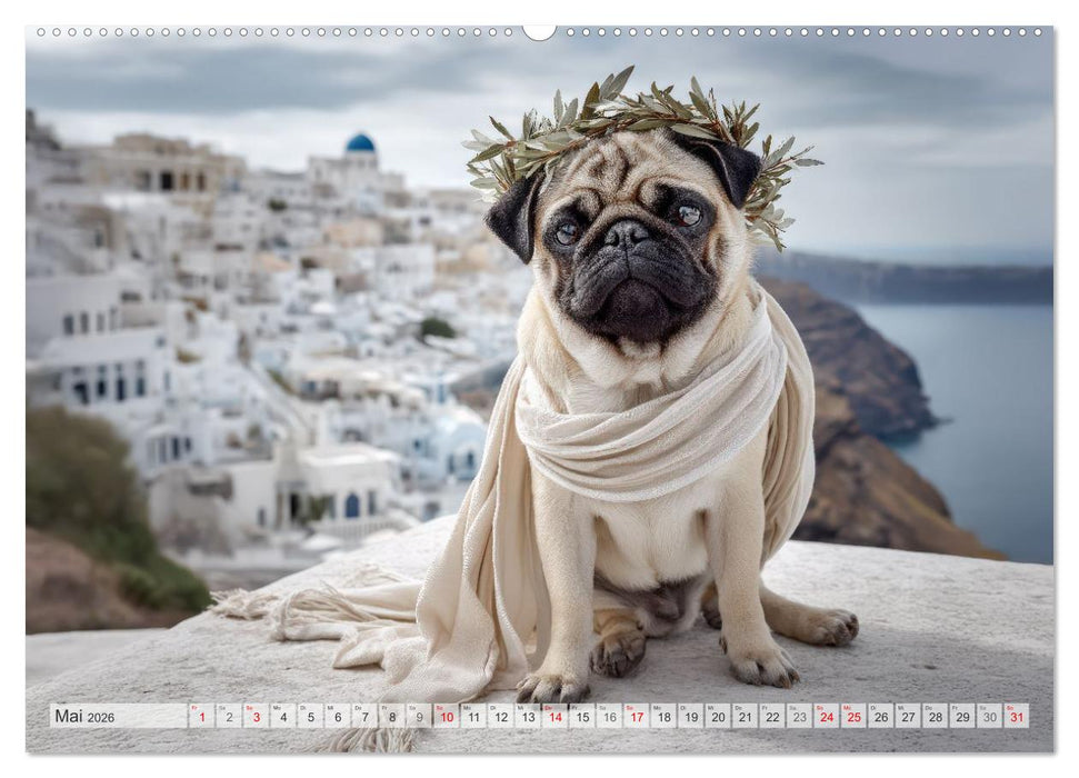 Eine Mopsige Weltreise (CALVENDO Wandkalender 2026)