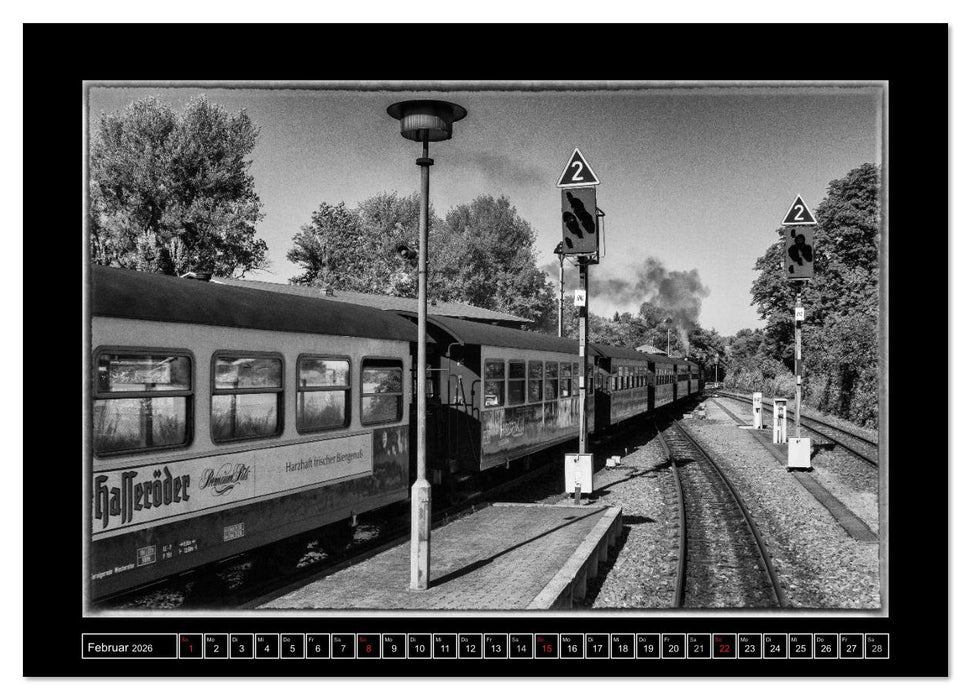 Unter Dampf - Eisenbahnromantik im Harz (CALVENDO Wandkalender 2026)