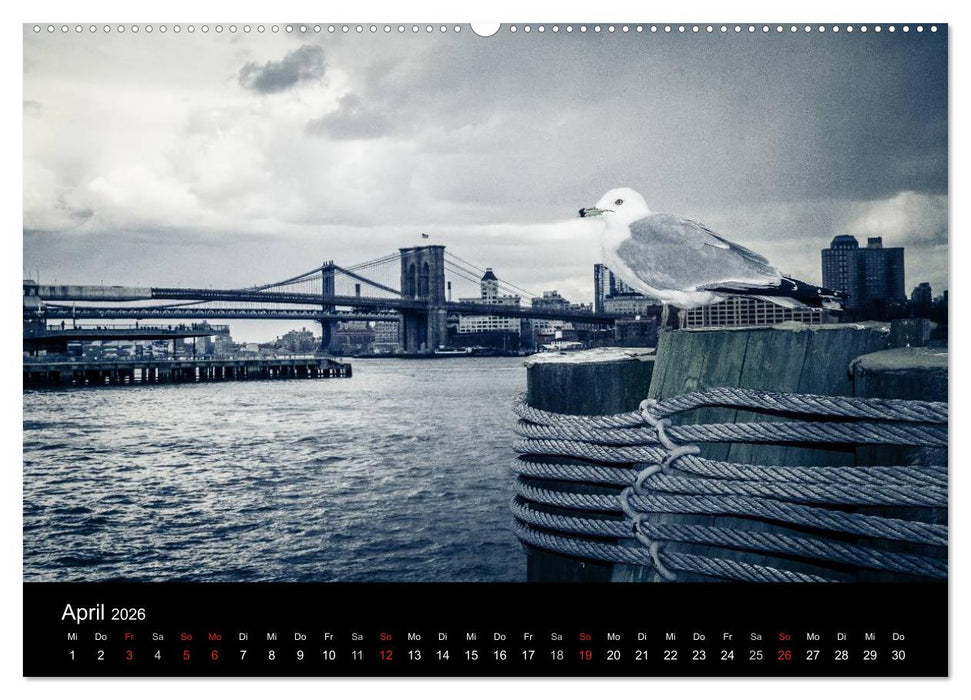 New York (CALVENDO Wandkalender 2026)