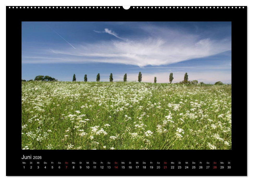 Die Farben Bornholms (CALVENDO Premium Wandkalender 2026)