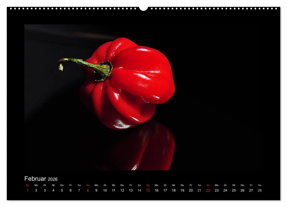 Rot (CALVENDO Premium Wandkalender 2026)