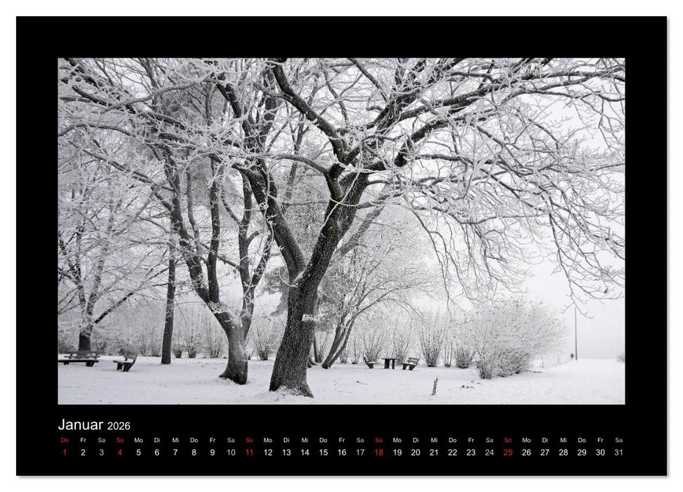 Taunus (CALVENDO Premium Wandkalender 2026)