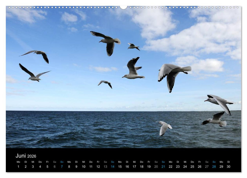 Ostseestrand Graal-Müritz (CALVENDO Premium Wandkalender 2026)