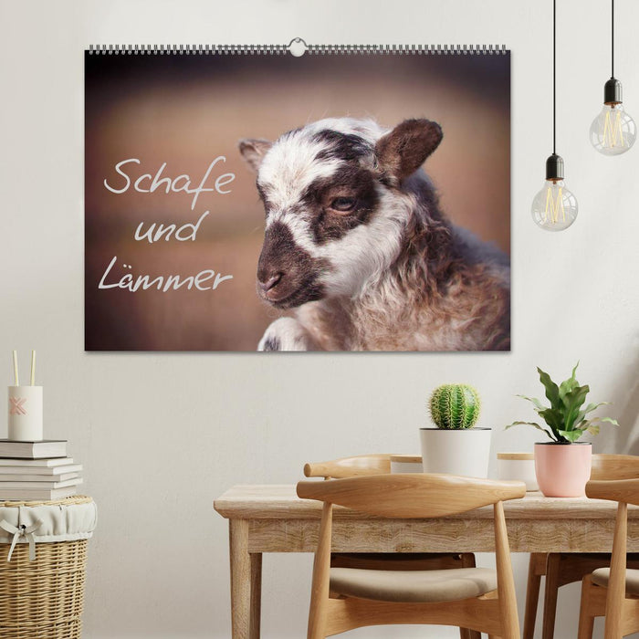 Schafe und Lämmer (CALVENDO Wandkalender 2026)
