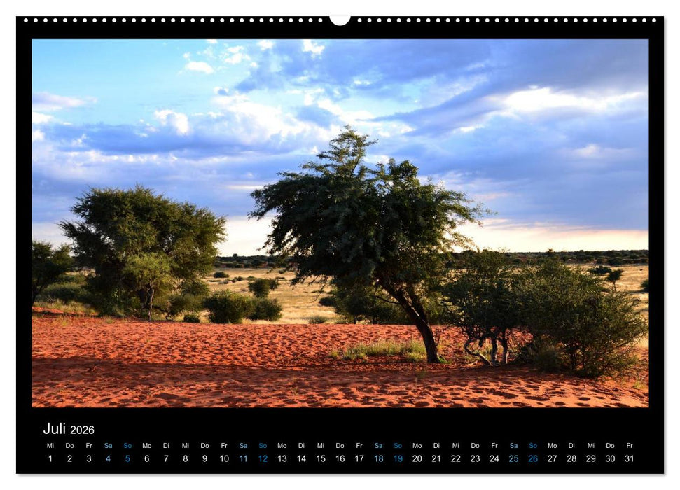 Namibia 2026 Farben der Wüste (CALVENDO Premium Wandkalender 2026)