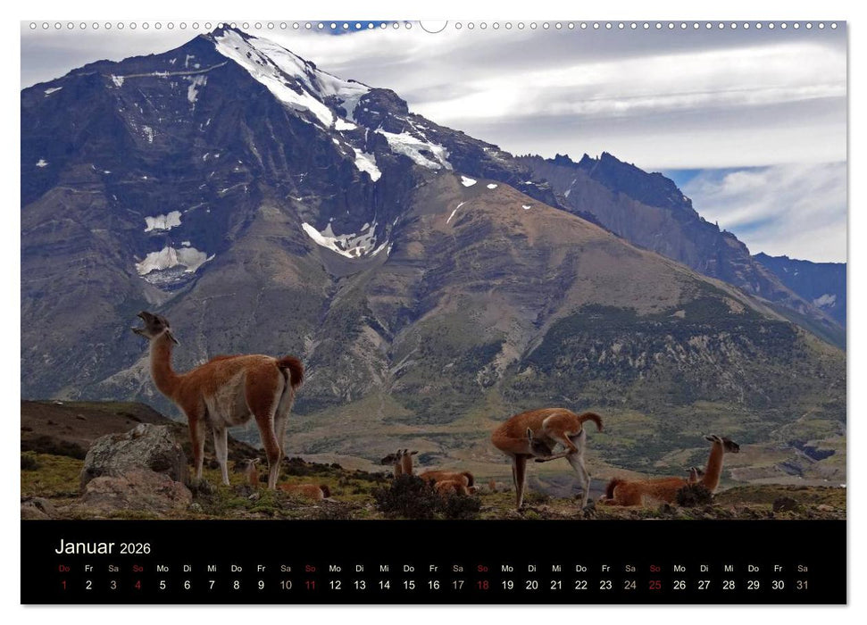 Im Nationalpark Torres del Paine (Chile) (CALVENDO Wandkalender 2026)