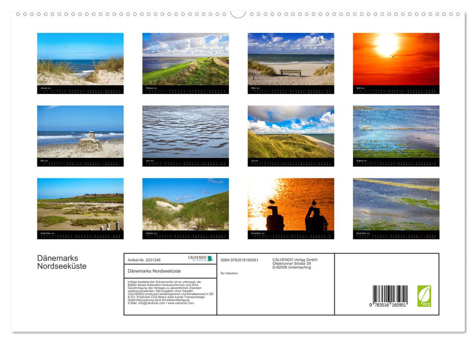 Dänemarks Nordseeküste (CALVENDO Premium Wandkalender 2026)