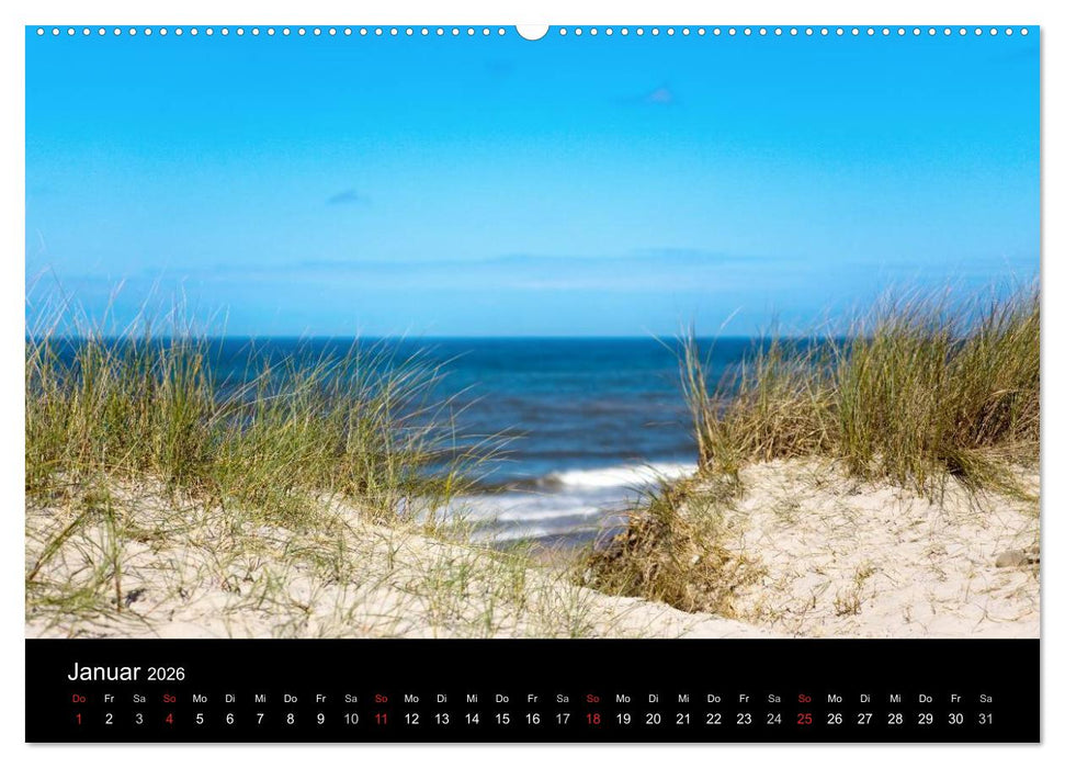 Dänemarks Nordseeküste (CALVENDO Premium Wandkalender 2026)
