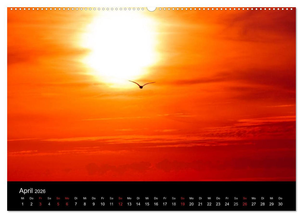 Dänemarks Nordseeküste (CALVENDO Premium Wandkalender 2026)