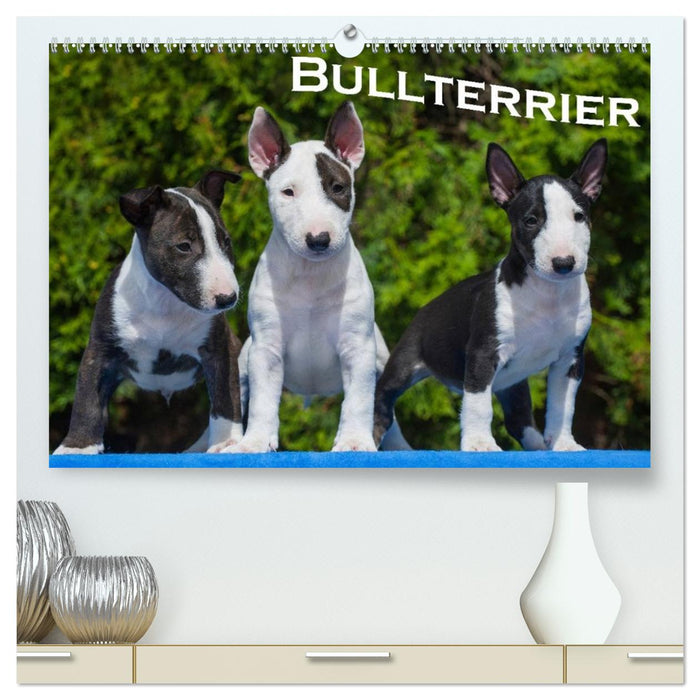 Bullterrier (CALVENDO Premium Wandkalender 2026)