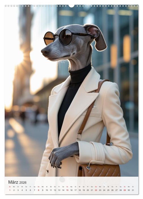 Daily Dogs – Tierisch menschlich (CALVENDO Premium Wandkalender 2026)