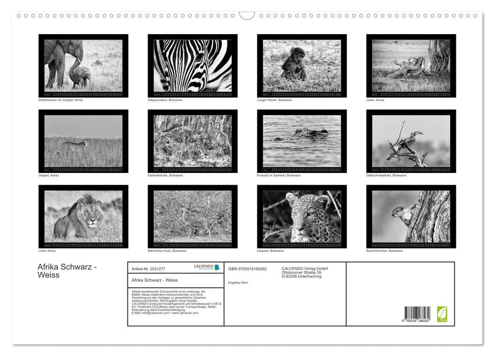 Afrika Schwarz - Weiss (CALVENDO Wandkalender 2026)