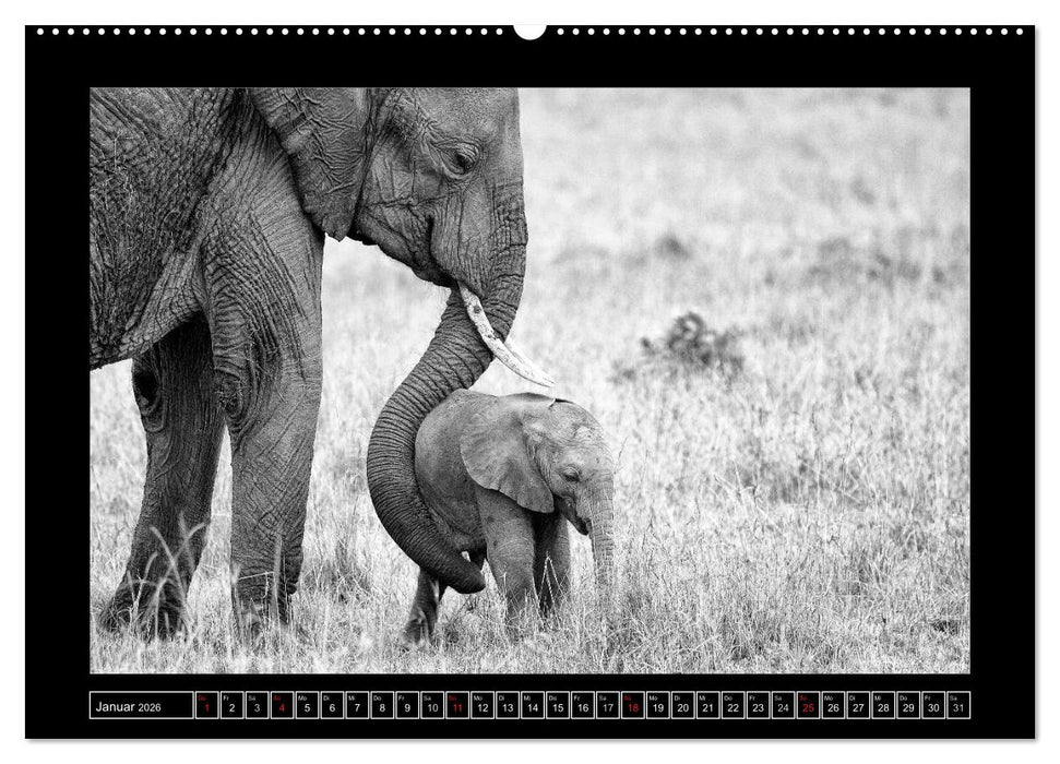 Afrika Schwarz - Weiss (CALVENDO Wandkalender 2026)