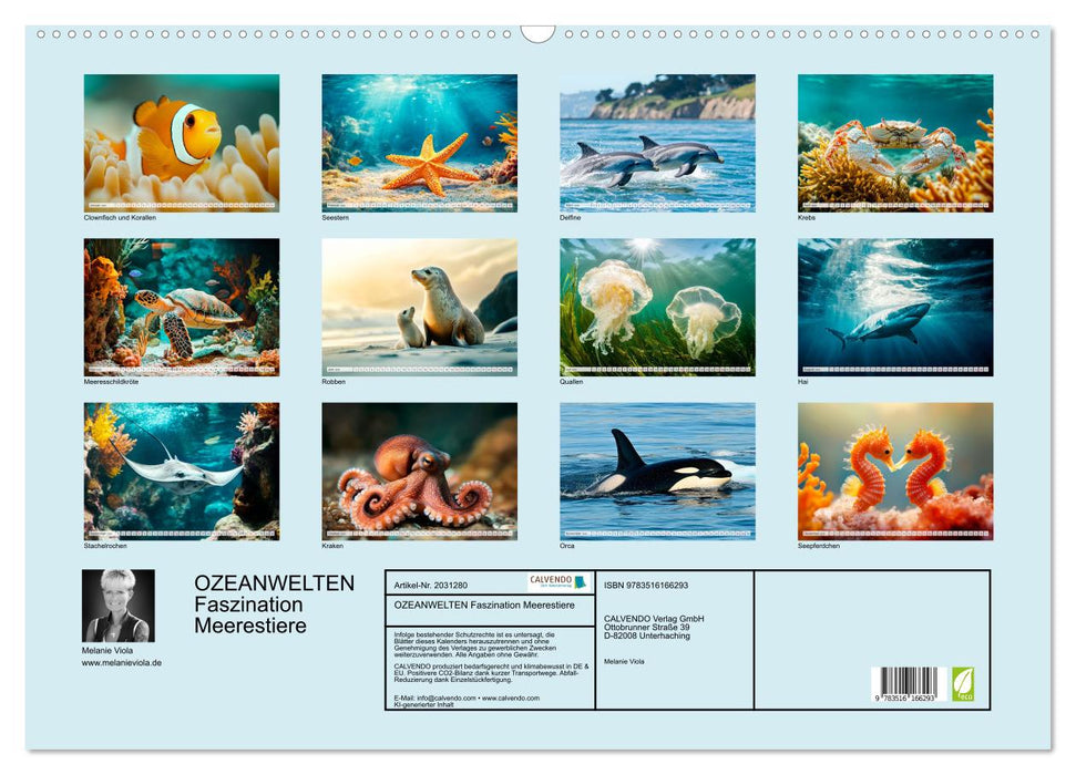 OZEANWELTEN Faszination Meerestiere (CALVENDO Wandkalender 2026)
