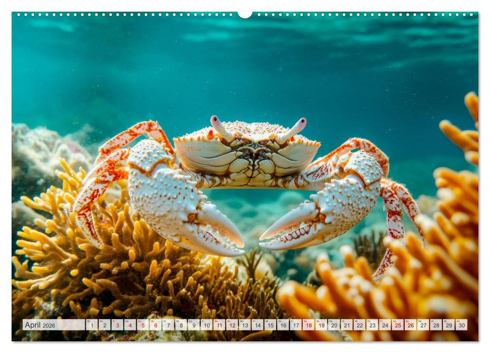 OZEANWELTEN Faszination Meerestiere (CALVENDO Wandkalender 2026)