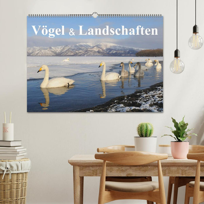 Vögel & Landschaften (CALVENDO Wandkalender 2026)