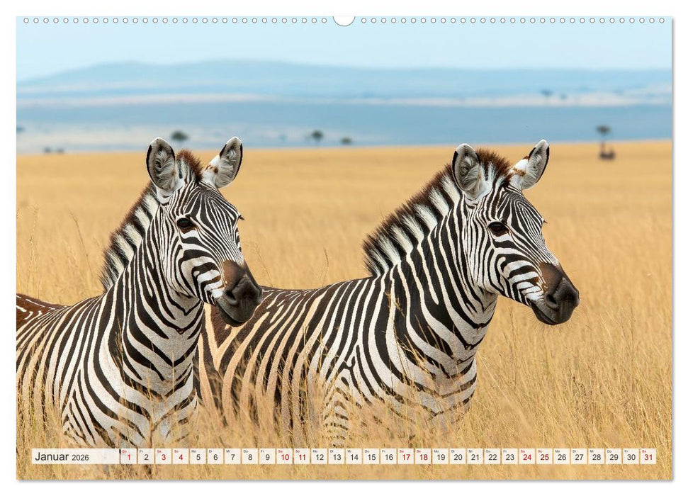 TIERWELT AFRIKA Faszination Wildnis (CALVENDO Wandkalender 2026)