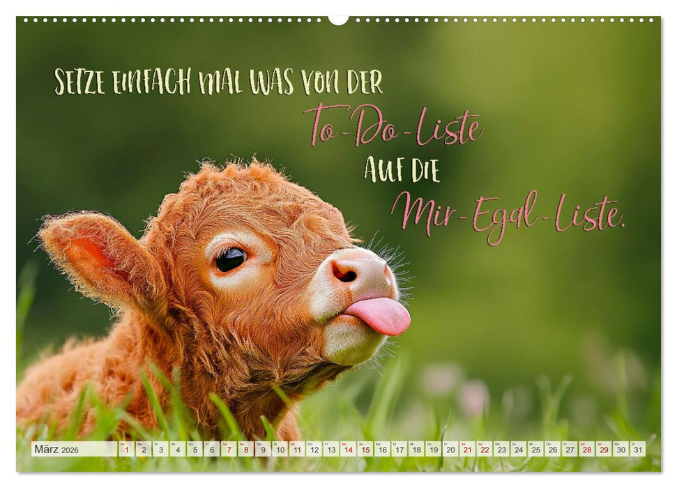 Ein tierisch gutes Jahr (CALVENDO Wandkalender 2026)