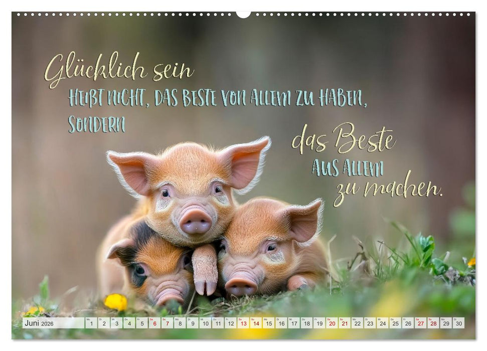 Ein tierisch gutes Jahr (CALVENDO Wandkalender 2026)