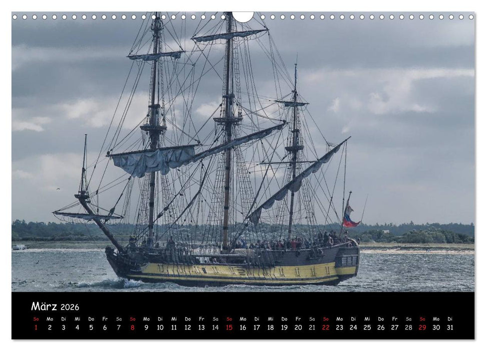 Windjammer vor Warnemünde (CALVENDO Wandkalender 2026)