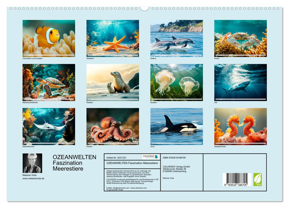 OZEANWELTEN Faszination Meerestiere (CALVENDO Premium Wandkalender 2026)