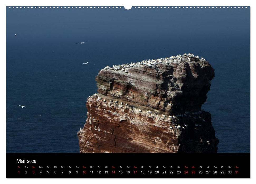 Helgoland (CALVENDO Premium Wandkalender 2026)