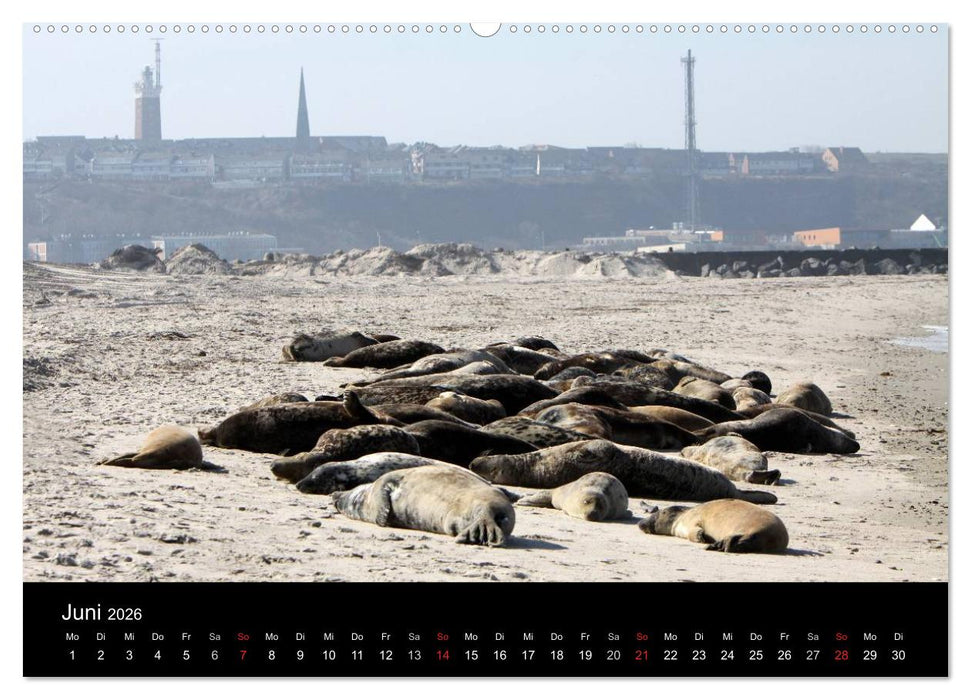 Helgoland (CALVENDO Premium Wandkalender 2026)