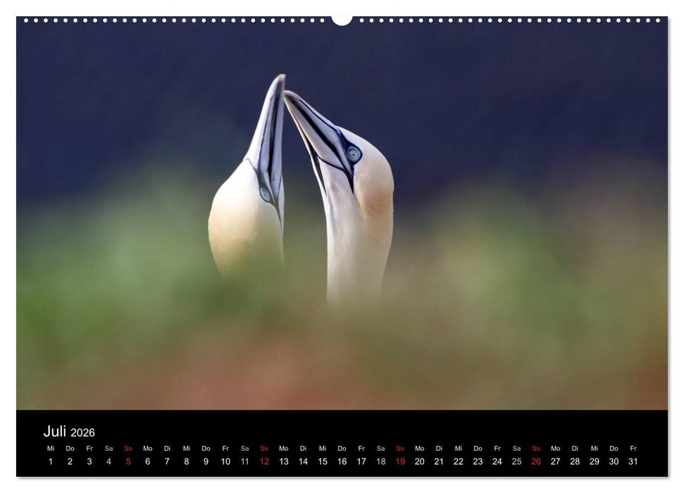 Helgoland (CALVENDO Premium Wandkalender 2026)