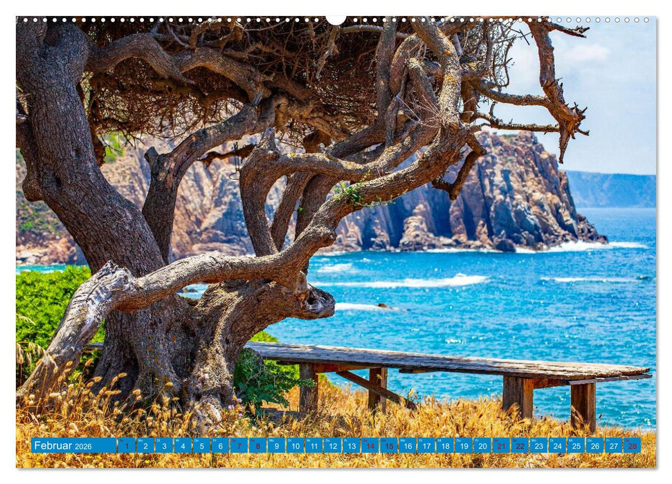 Sardinien Insel mit Meerblick (CALVENDO Wandkalender 2026)
