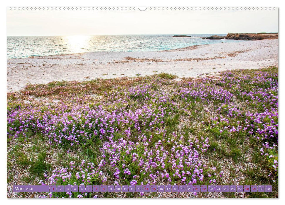 Sardinien Insel mit Meerblick (CALVENDO Wandkalender 2026)