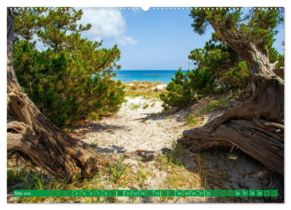 Sardinien Insel mit Meerblick (CALVENDO Wandkalender 2026)